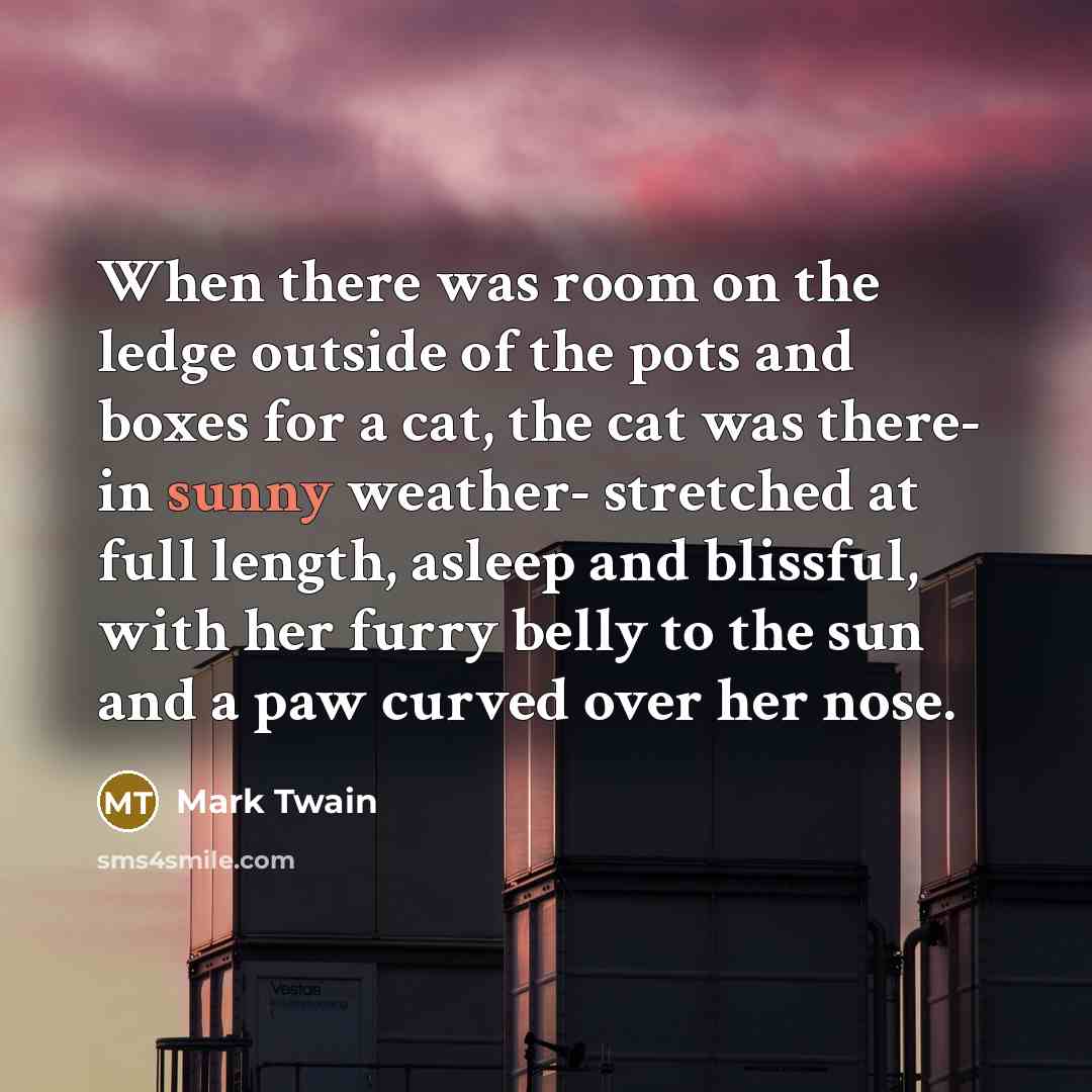 “When there was room on the ledge outside of the…” quote by Mark Twain