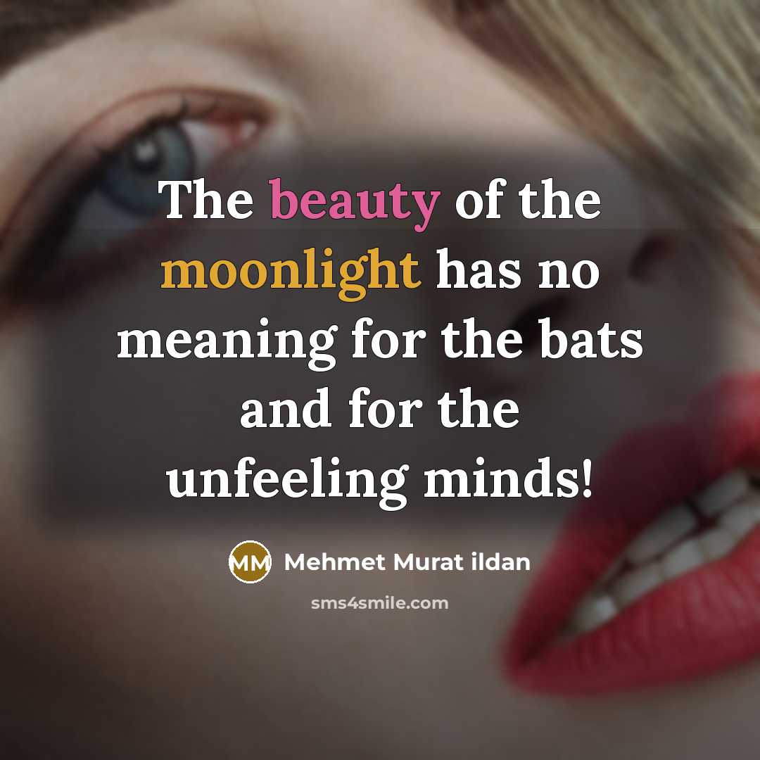 “The beauty of the moonlight has no meaning for the…” quote by Mehmet Murat Ildan