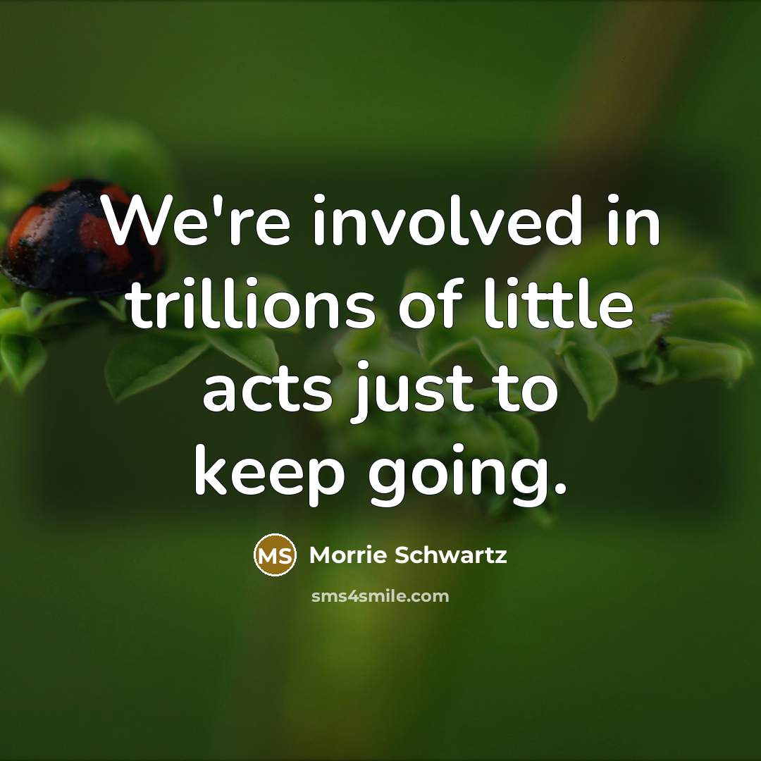 “We're involved in trillions of little acts just to keep…” quote by Morrie Schwartz