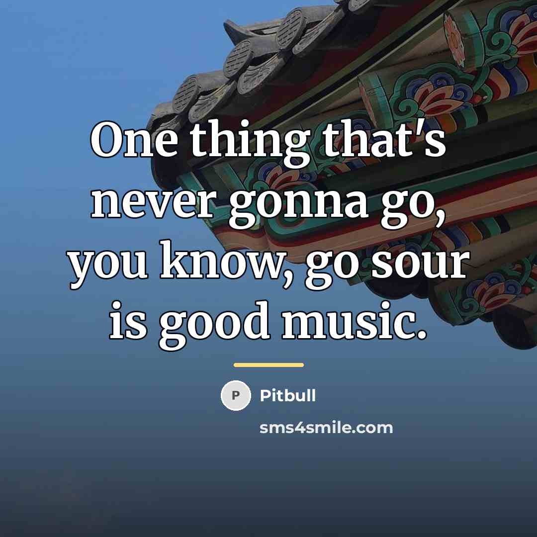 “One thing that's never gonna go, you know, go sour…” quote by Pitbull