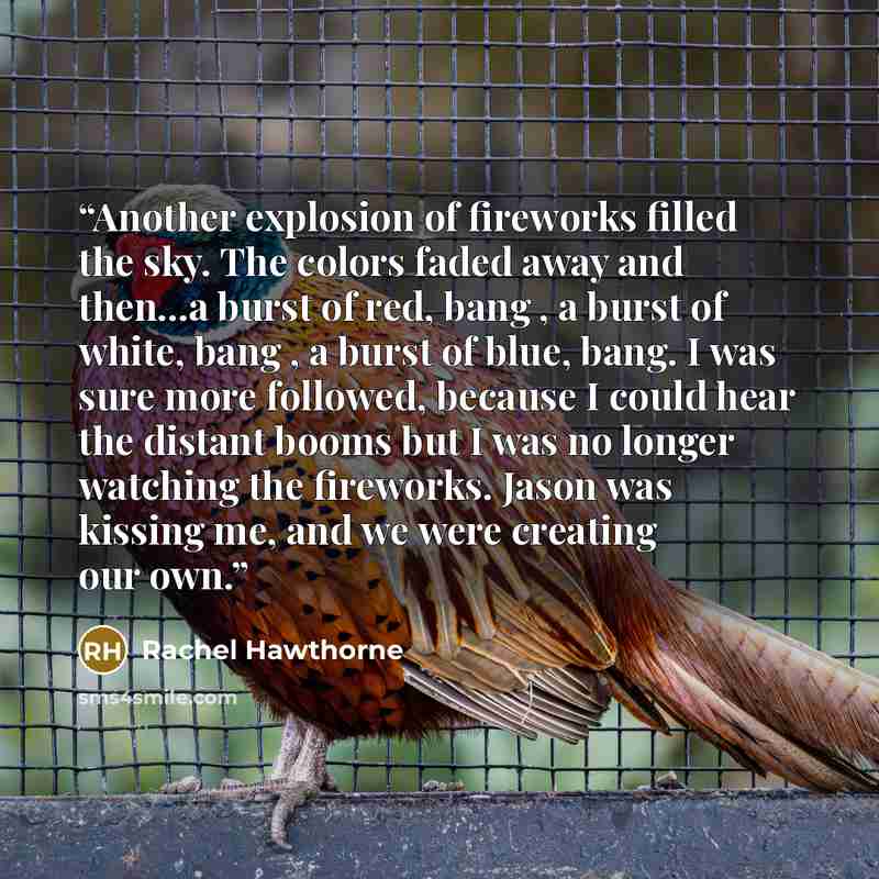 “Another explosion of fireworks filled the sky. The colors faded away and then…a burst of red, bang , a burst of white, bang , a burst of blue, bang. I was sure more followed, because I could hear the distant booms but I was no longer watching the fireworks. Jason was kissing me, and we were…” quote by Rachel Hawthorne