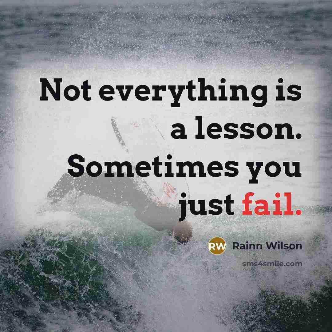 “Not everything is a lesson. Sometimes you just fail.” quote by Rainn Wilson