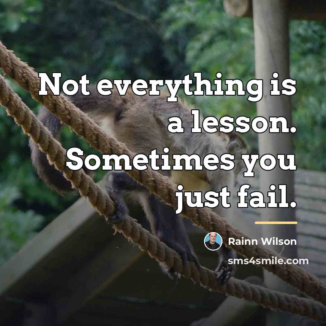 “Not everything is a lesson. Sometimes you just fail.…” quote by Rainn Wilson