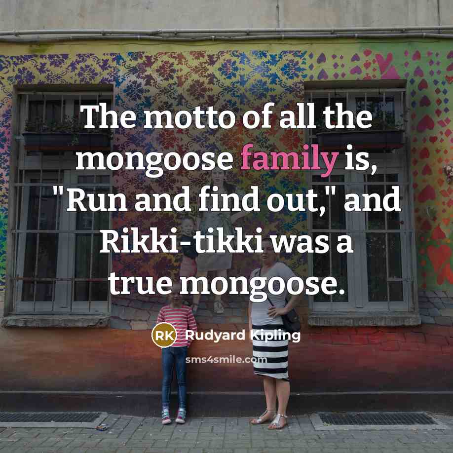 “The motto of all the mongoose family is, "Run and…” quote by Rudyard Kipling
