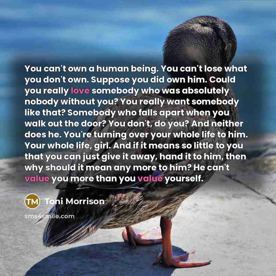 “You can't own a human being. You can't lose what…” quote by Toni Morrison