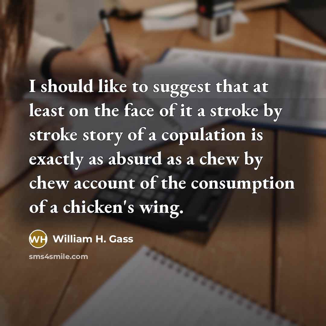 “I should like to suggest that at least on the…” quote by William H. Gass