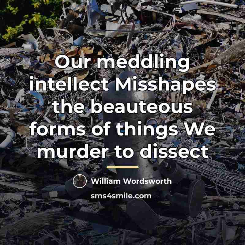 “Our meddling intellect Misshapes the beauteous forms of things We…” quote by William Wordsworth