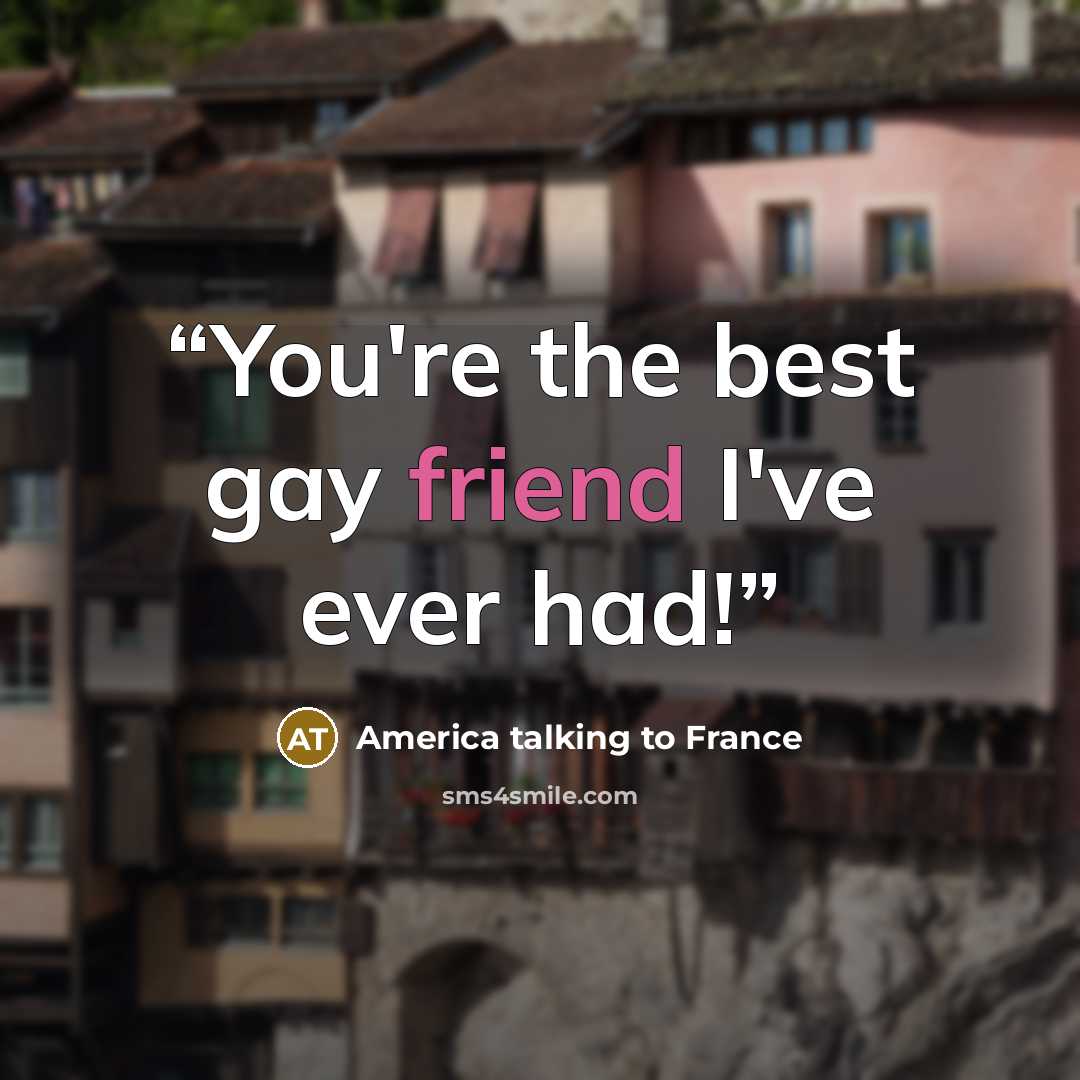 “You're the best gay friend I've ever had!” quote by America talking to France