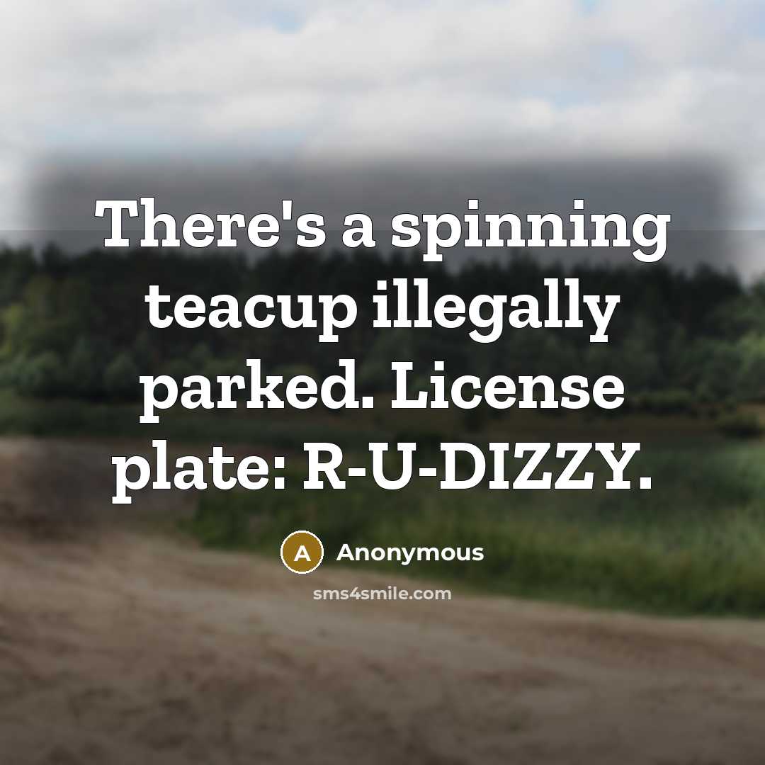 “There's a spinning teacup illegally parked. License plate: R-U-DIZZY.” quote by Anonymous