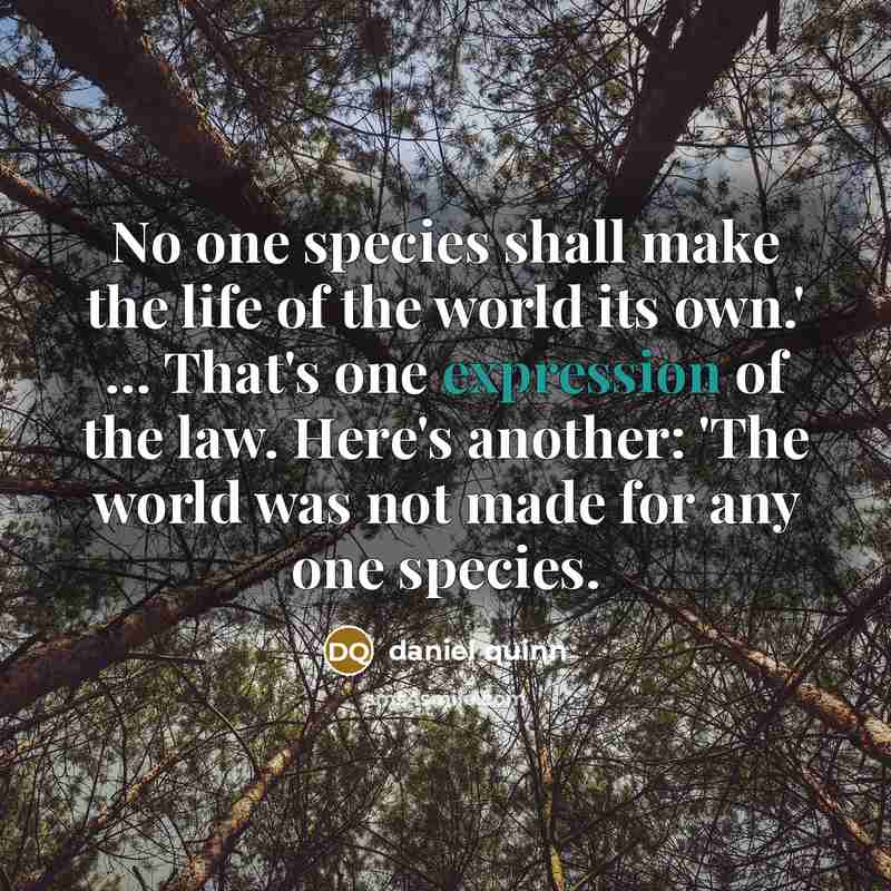 “No one species shall make the life of the world…” quote by Daniel Quinn