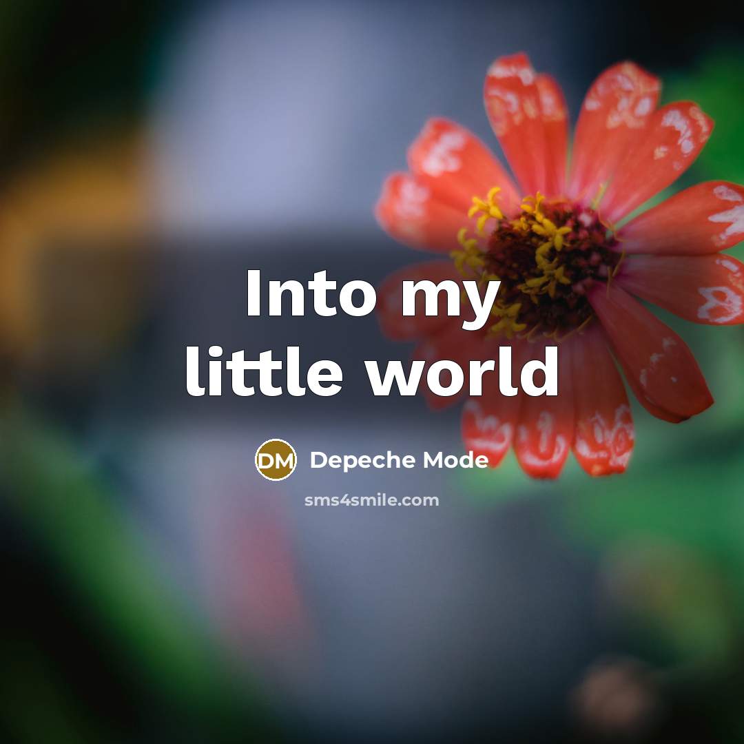 “Into my little world” quote by Depeche Mode