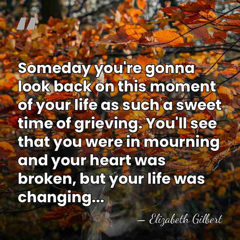 Someday you're gonna look back on this moment of your life as&hellip; - Elizabeth Gilbert