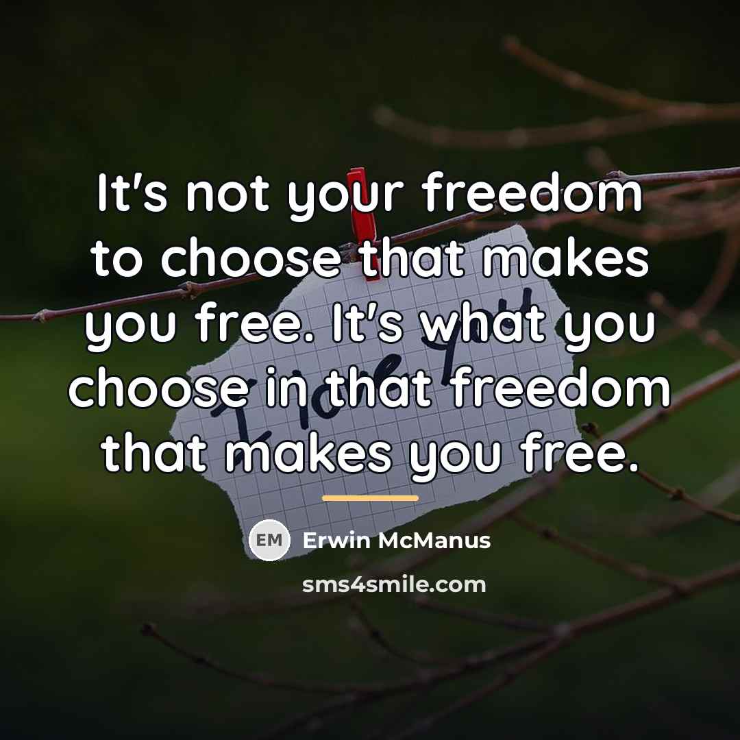 “It's not your freedom to choose that makes you free.…” quote by Erwin McManus