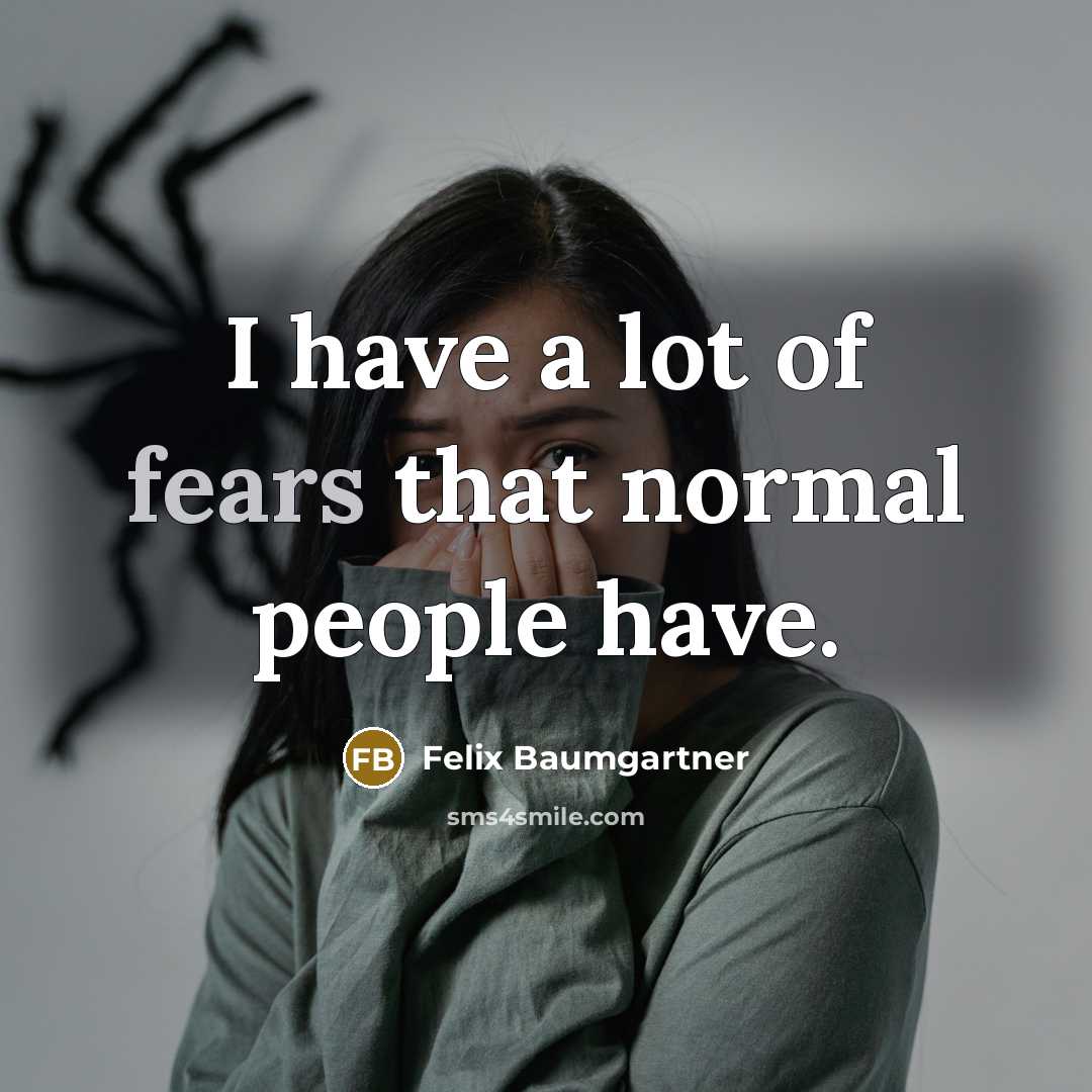 “I have a lot of fears that normal people have.…” quote by Felix Baumgartner