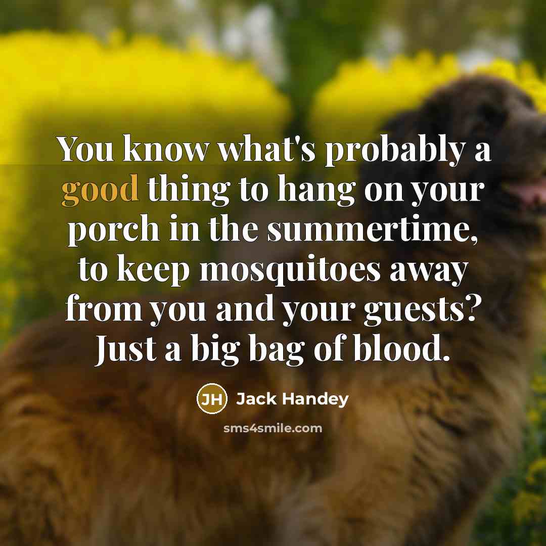 “You know what's probably a good thing to hang on…” quote by Jack Handey