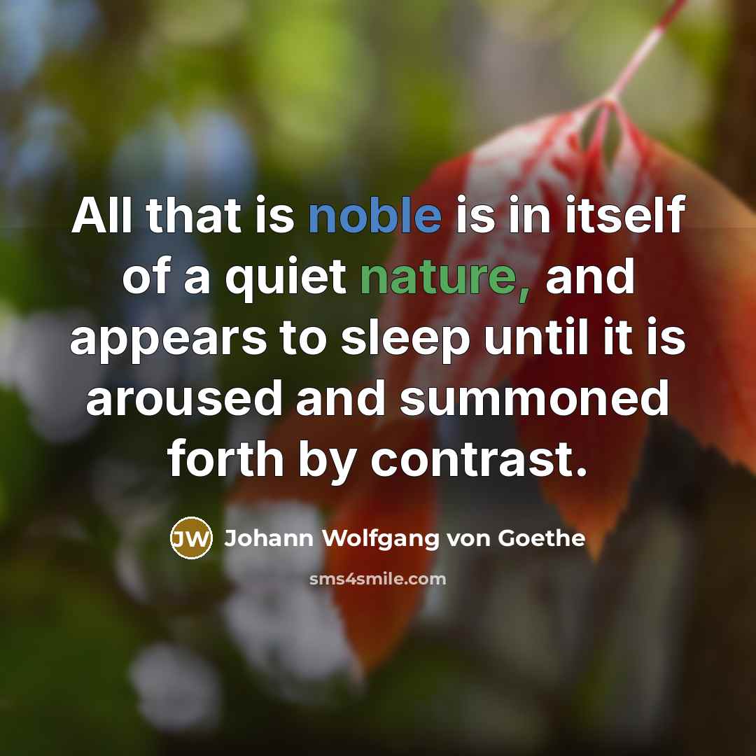 “All that is noble is in itself of a quiet…” quote by Johann Wolfgang von Goethe