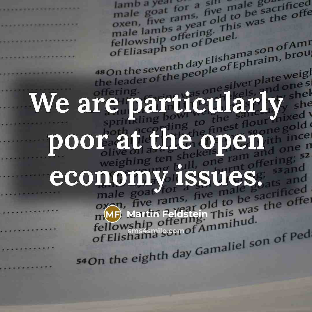 “We are particularly poor at the open economy issues.…” quote by Martin Feldstein