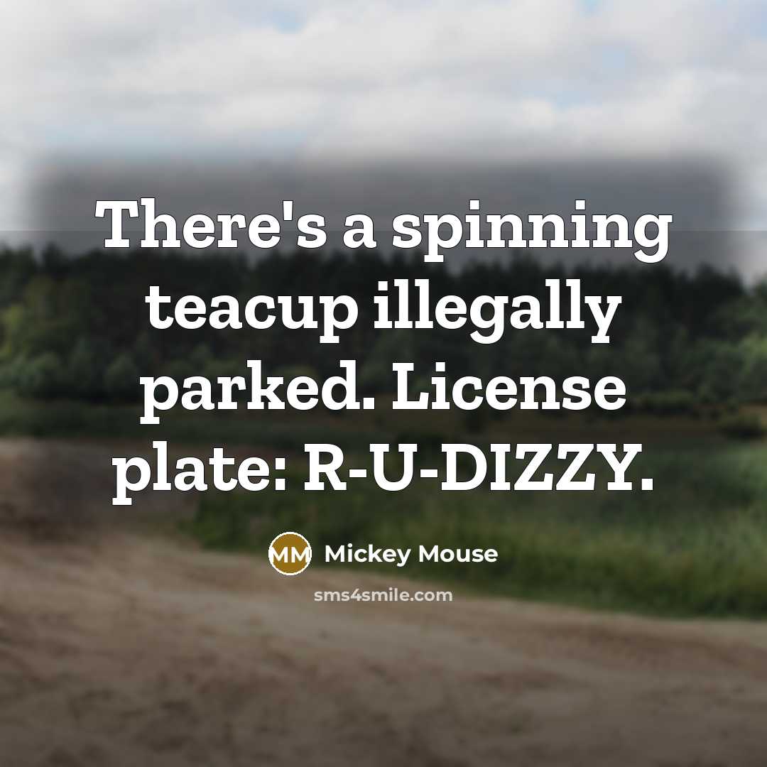 “There's a spinning teacup illegally parked. License plate: R-U-DIZZY.…” quote by Mickey Mouse