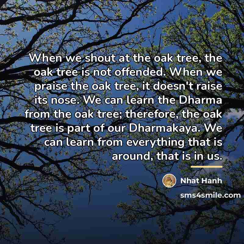 “When we shout at the oak tree, the oak tree…” quote by Nhat Hanh