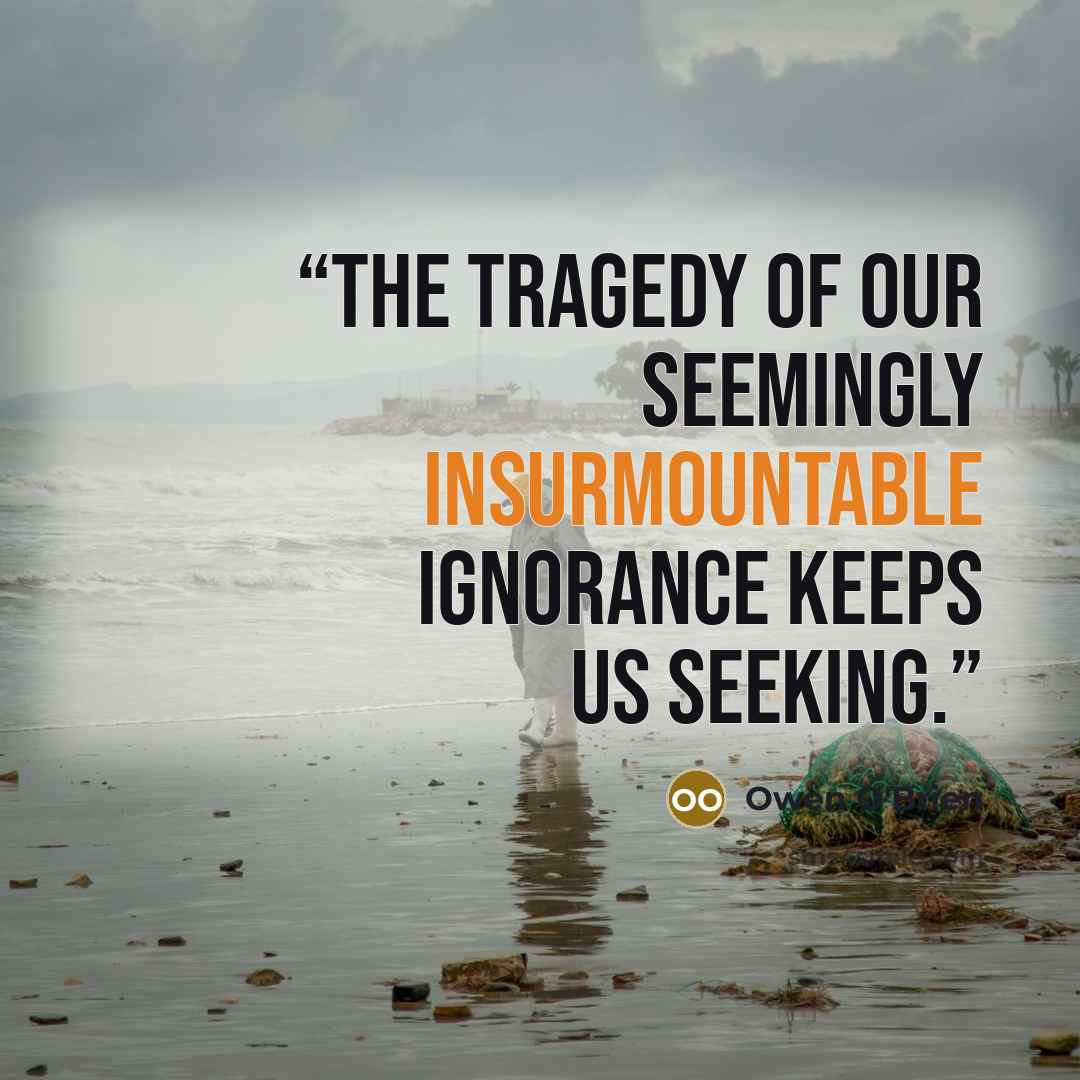 “The tragedy of our seemingly insurmountable ignorance keeps us seeking.” quote by Owen O'Brien