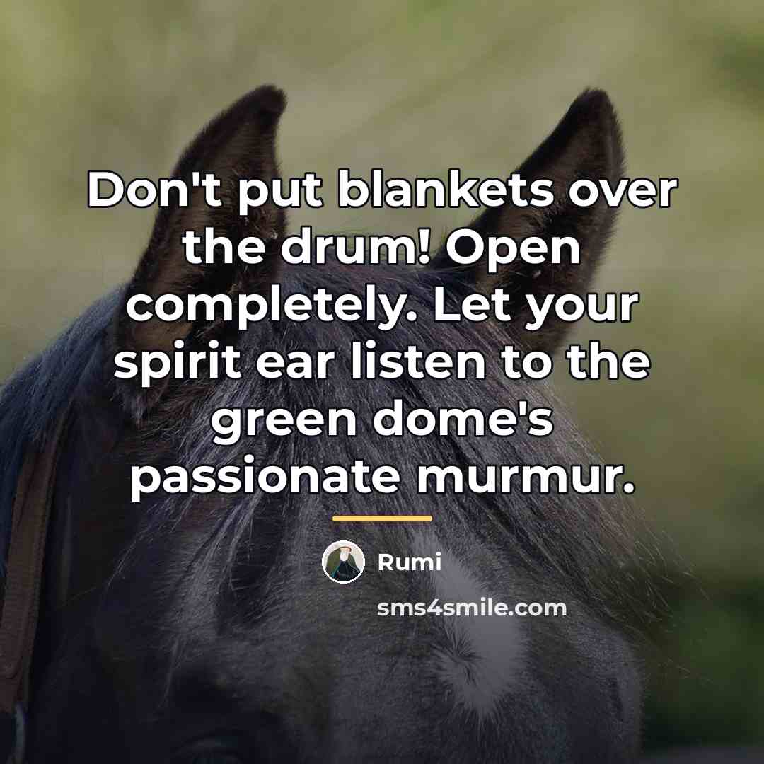 “Don't put blankets over the drum! Open completely. Let your…” quote by Rumi