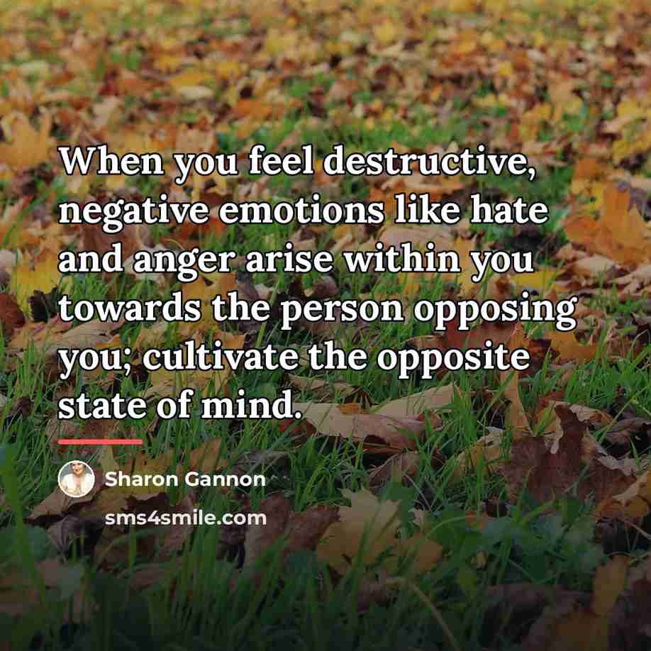 “When you feel destructive, negative emotions like hate and anger…” quote by Sharon Gannon