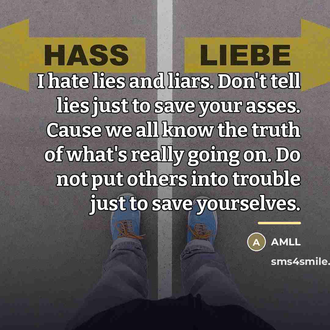 “I hate lies and liars. Don't tell lies just to…” quote by Amll