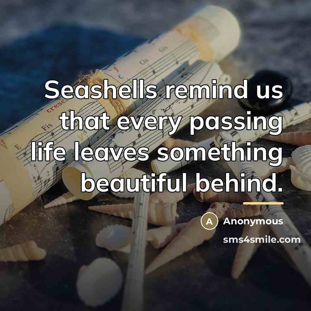 “Seashells remind us that every passing life leaves something beautiful…” quote by Anonymous