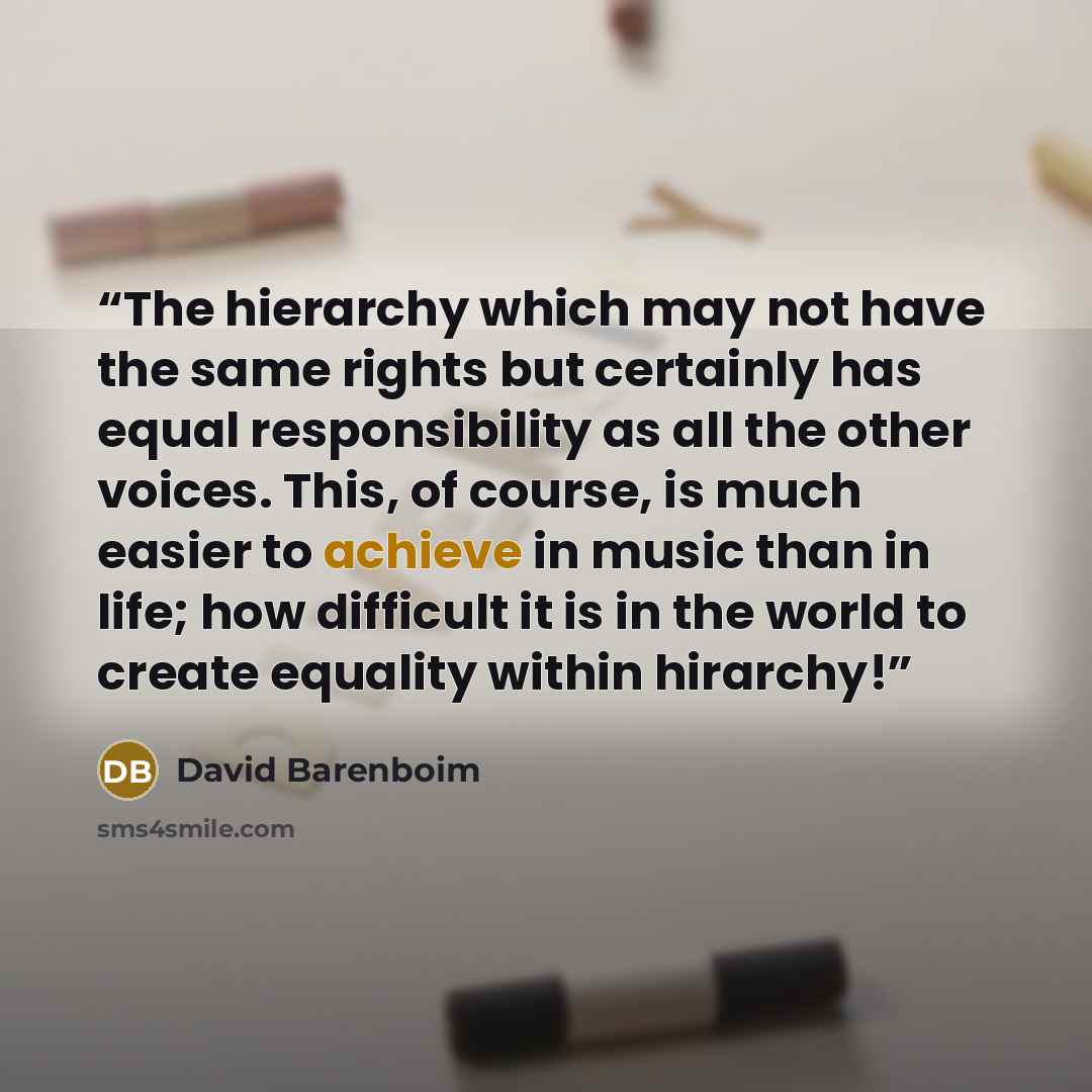 “The hierarchy which may not have the same rights but certainly has equal responsibility as all the other voices. This, of course, is much easier to achieve in music than in life; how difficult it is in the world to create equality within hirarchy!” quote by David Barenboim