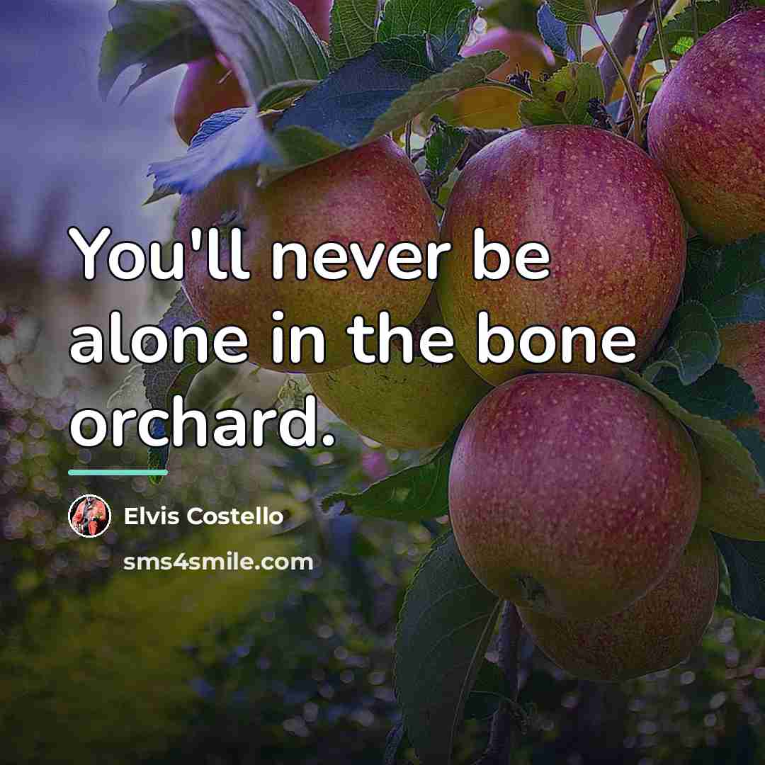 “You'll never be alone in the bone orchard.…” quote by Elvis Costello