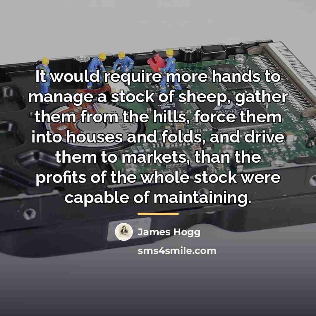 “It would require more hands to manage a stock of…” quote by James Hogg