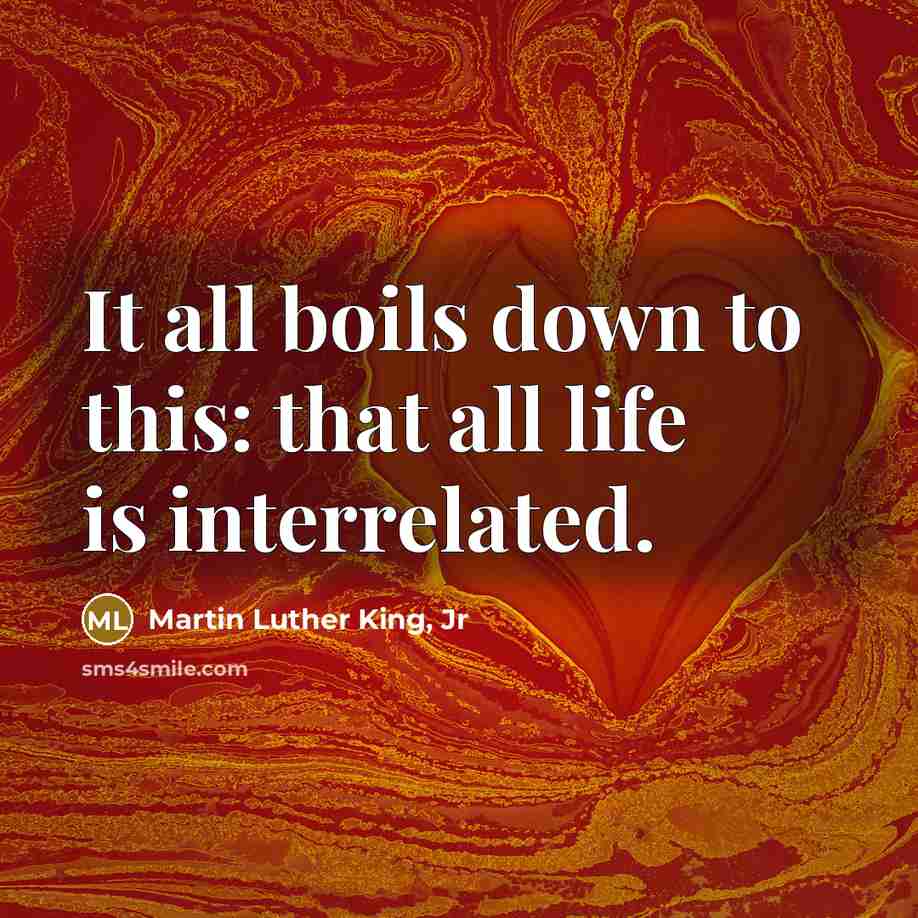 “It all boils down to this: that all life is…” quote by Martin Luther King, Jr