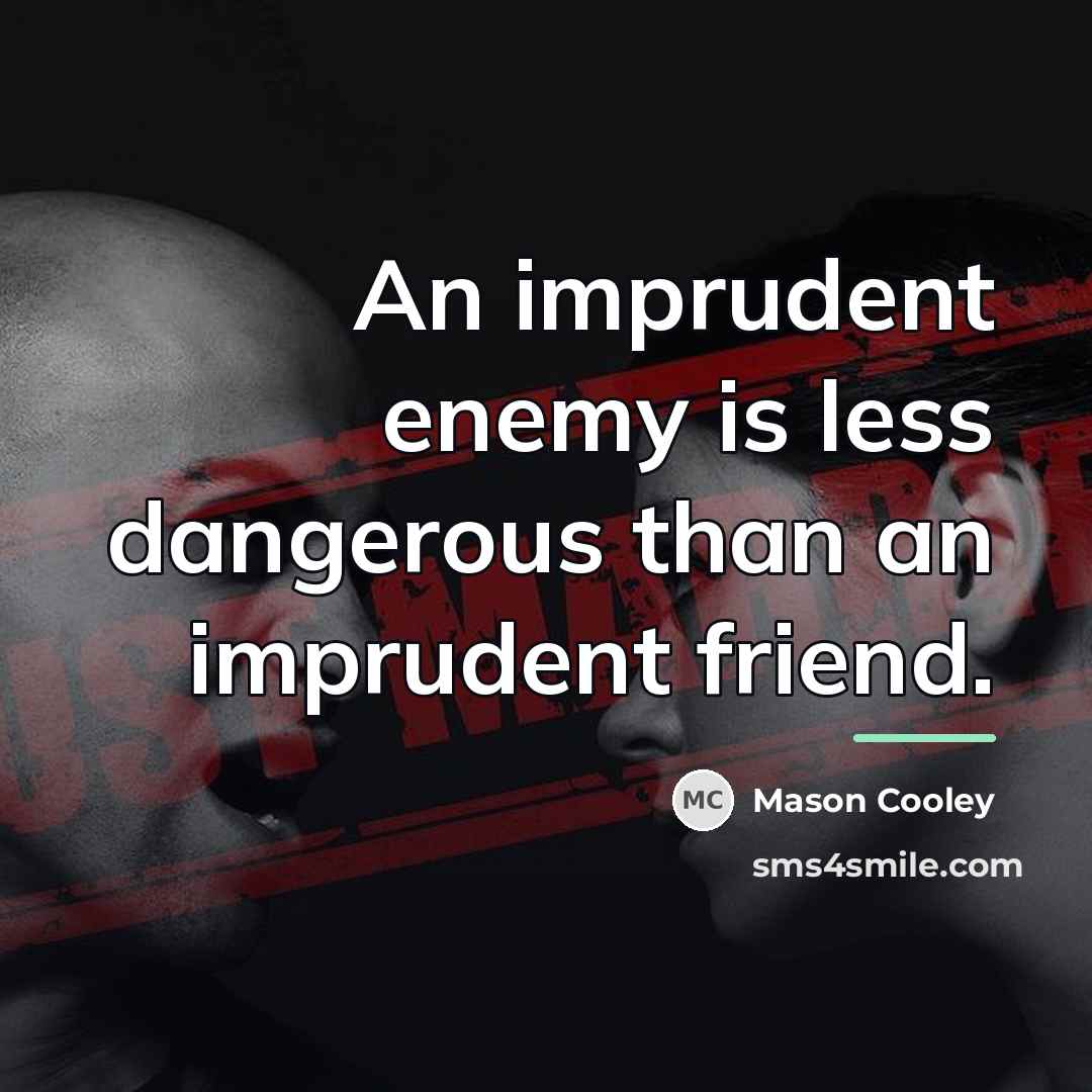 “An imprudent enemy is less dangerous than an imprudent friend.…” quote by Mason Cooley