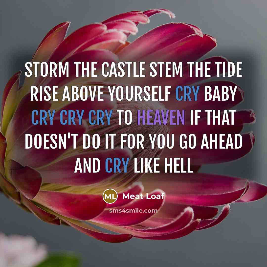 “Storm the castle Stem the tide Rise above yourself Cry…” quote by Meat Loaf