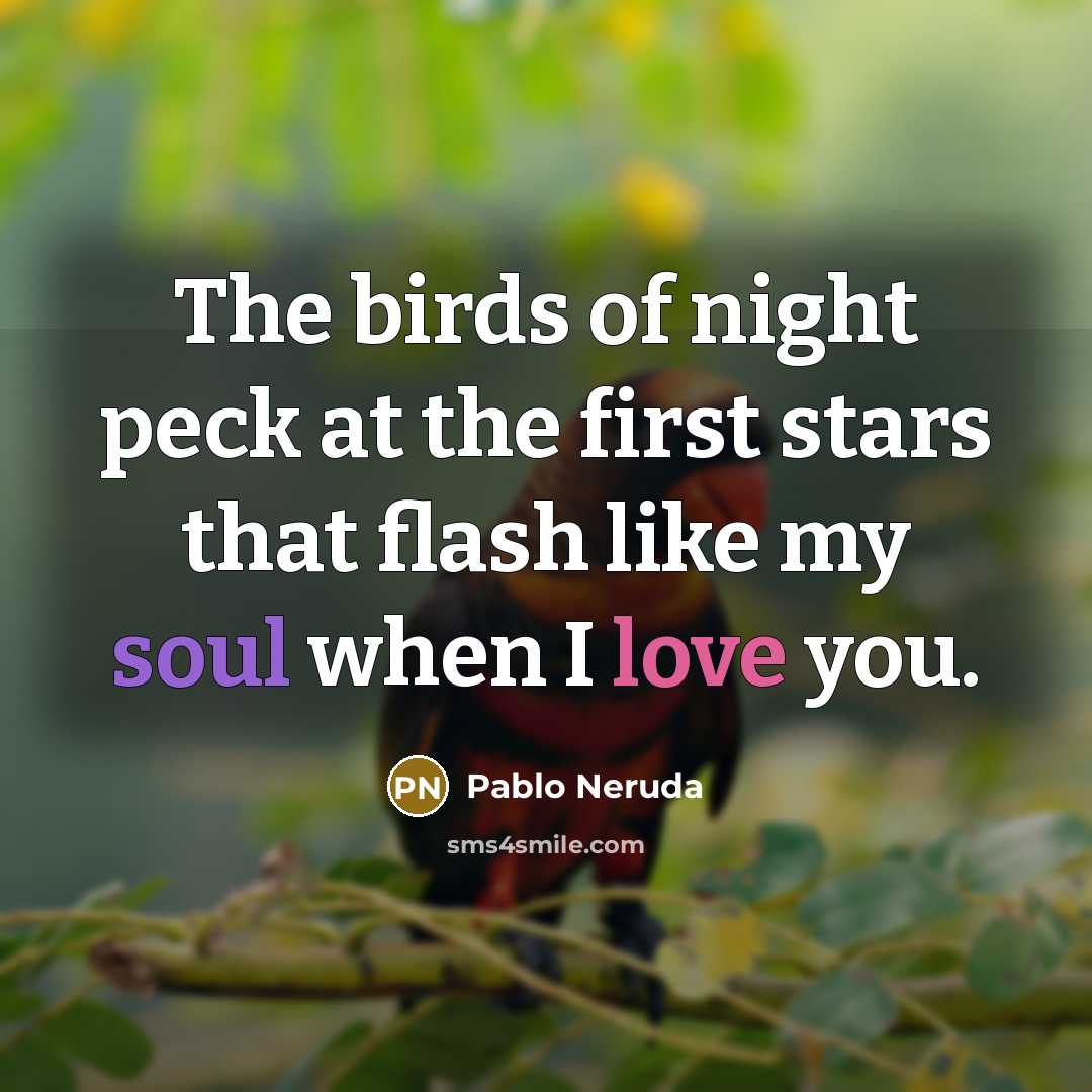 “The birds of night peck at the first stars that…” quote by Pablo Neruda