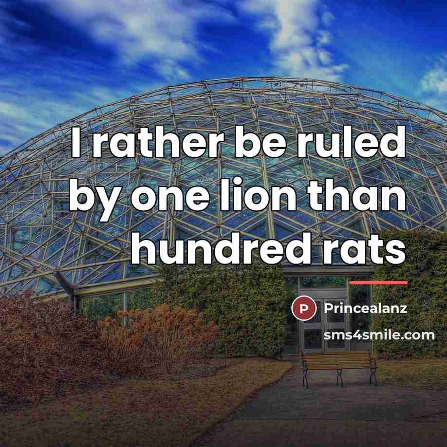 “I rather be ruled by one lion than hundred rats…” quote by Princealanz