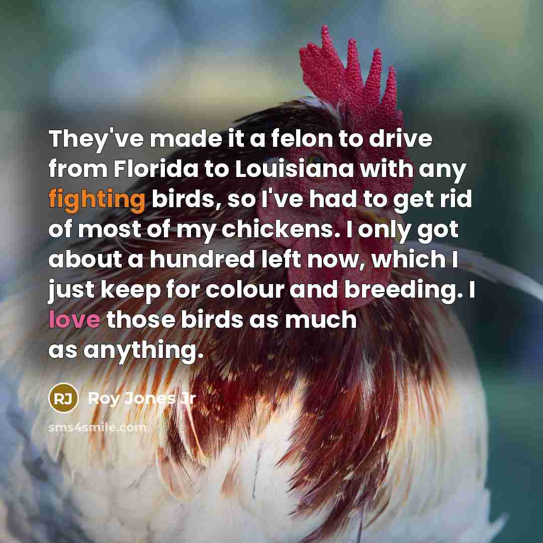 “They've made it a felon to drive from Florida to…” quote by Roy Jones Jr