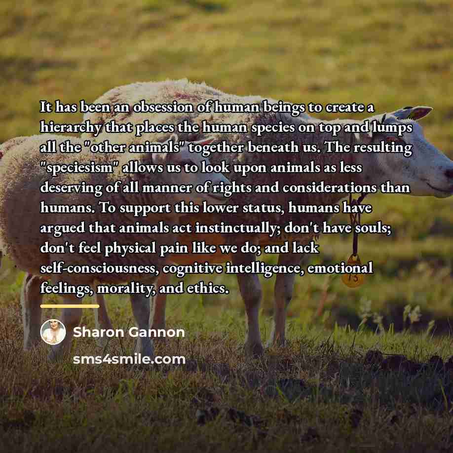 “It has been an obsession of human beings to create…” quote by Sharon Gannon