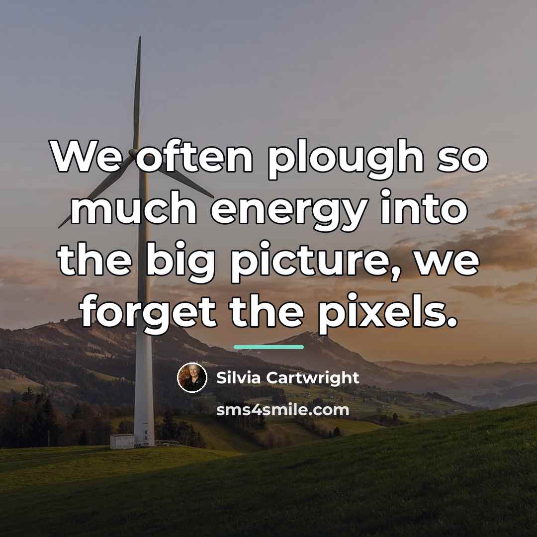 “We often plough so much energy into the big picture,…” quote by Silvia Cartwright