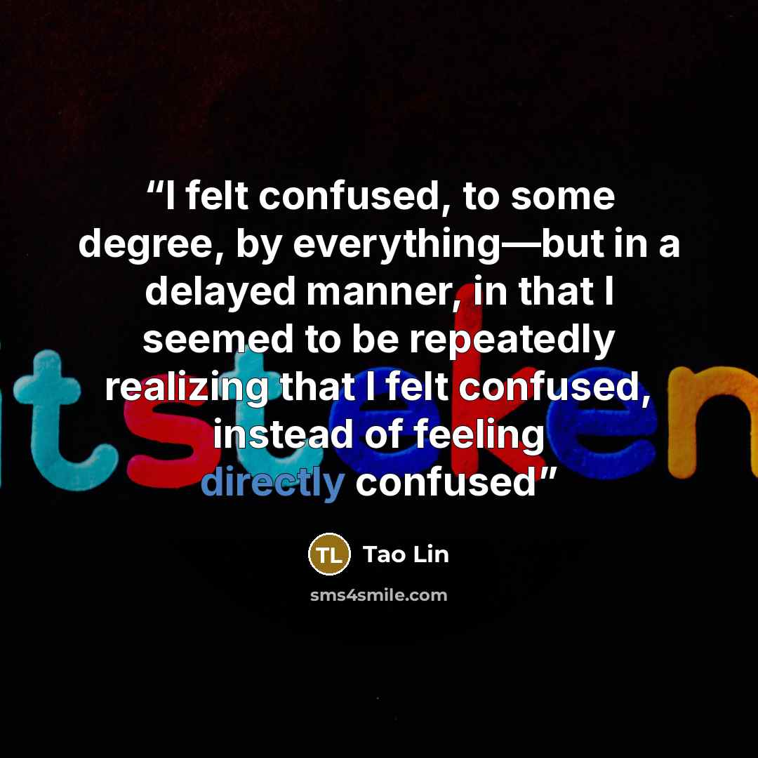 “I felt confused, to some degree, by everything—but in a delayed manner, in that I seemed to be repeatedly realizing that I felt confused, instead of feeling directly confused” quote by Tao Lin