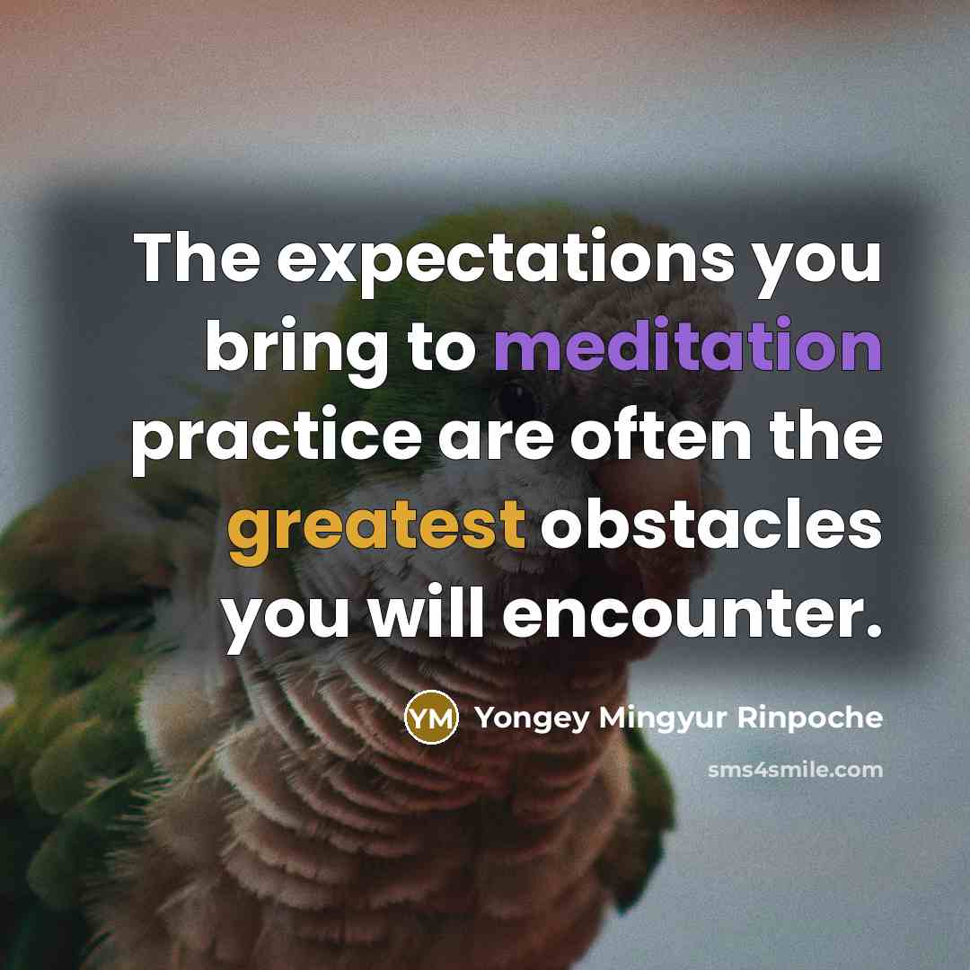 “The expectations you bring to meditation practice are often the…” quote by Yongey Mingyur Rinpoche