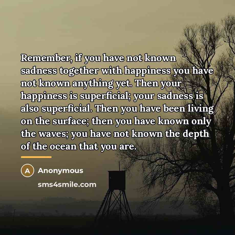 “Remember, if you have not known sadness together with happiness…” quote by Anonymous