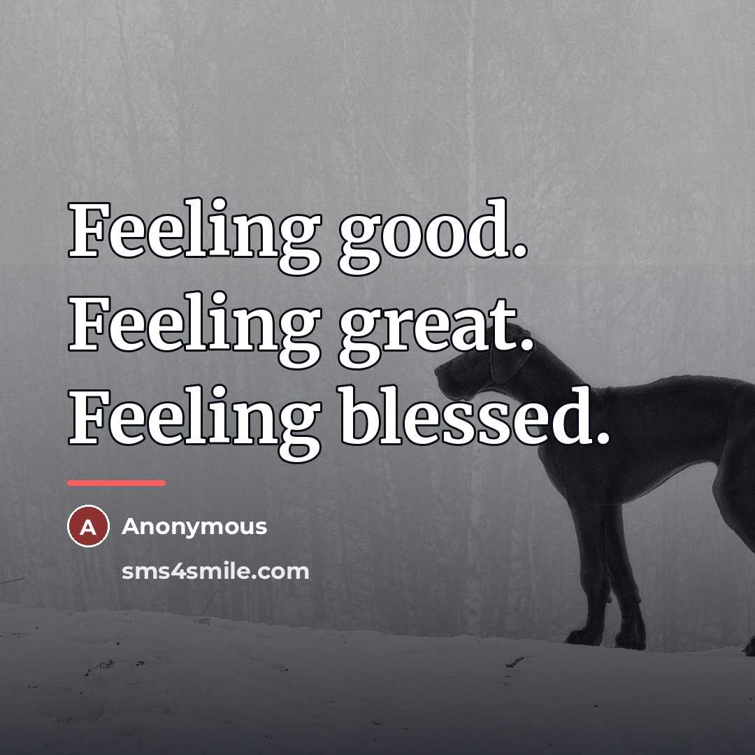 “Feeling good. Feeling great. Feeling blessed.…” quote by Anonymous