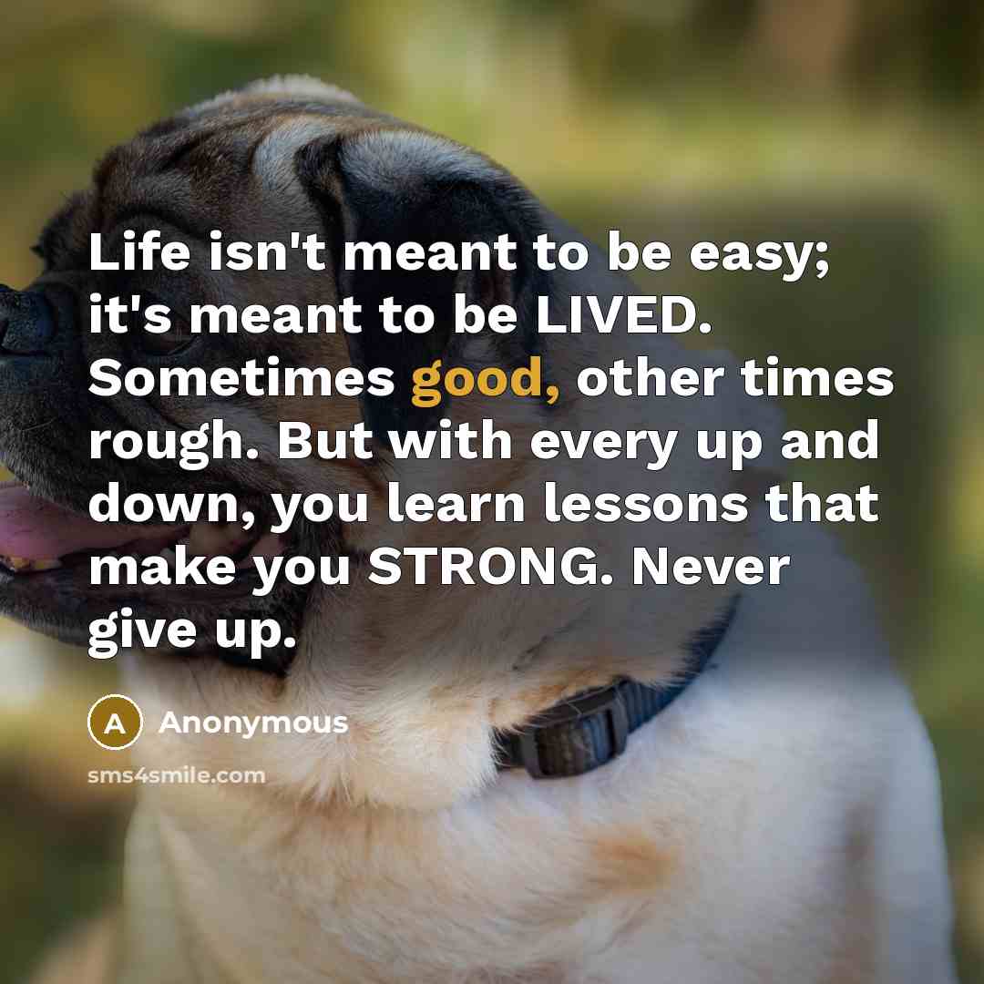 “Life isn't meant to be easy; it's meant to be…” quote by Anonymous