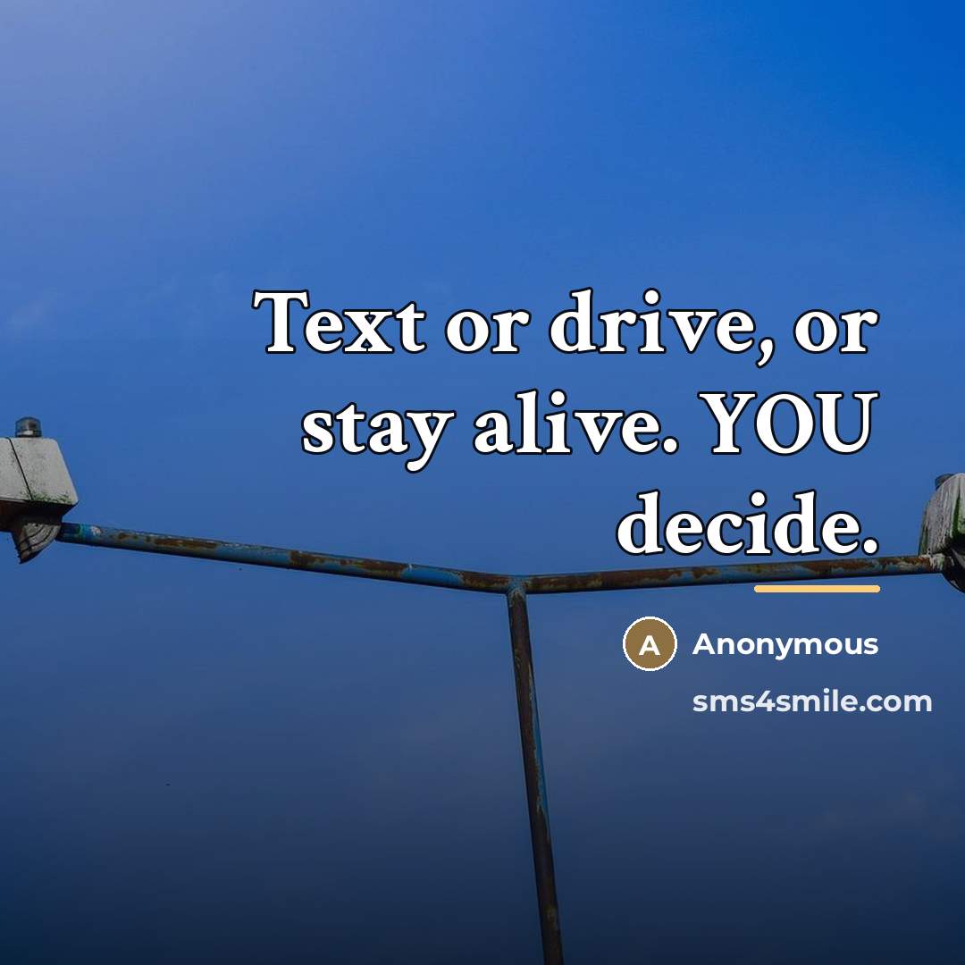 “Text or drive, or stay alive. YOU decide.…” quote by Anonymous