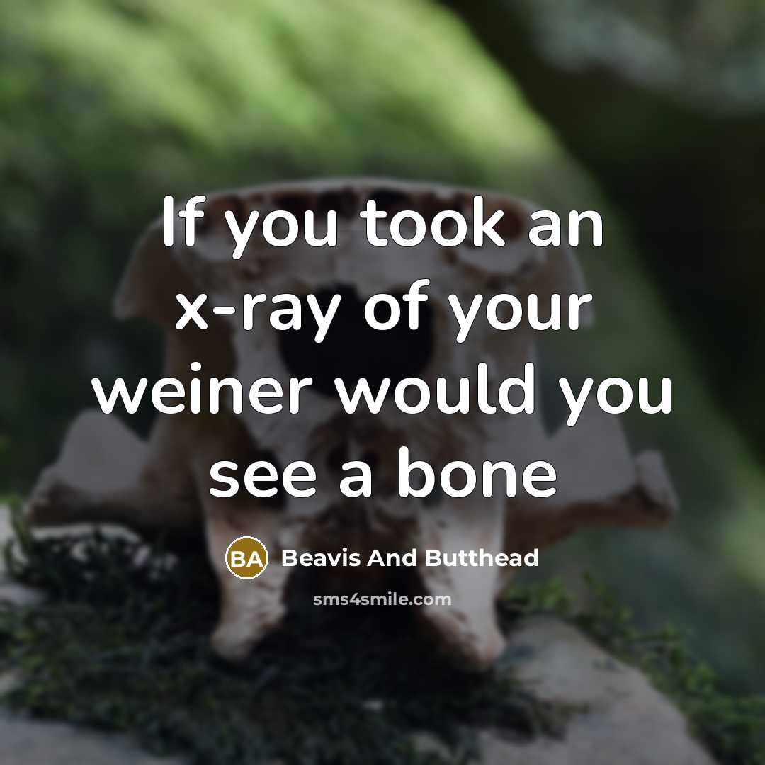 “If you took an x-ray of your weiner would you…” quote by Beavis And Butthead