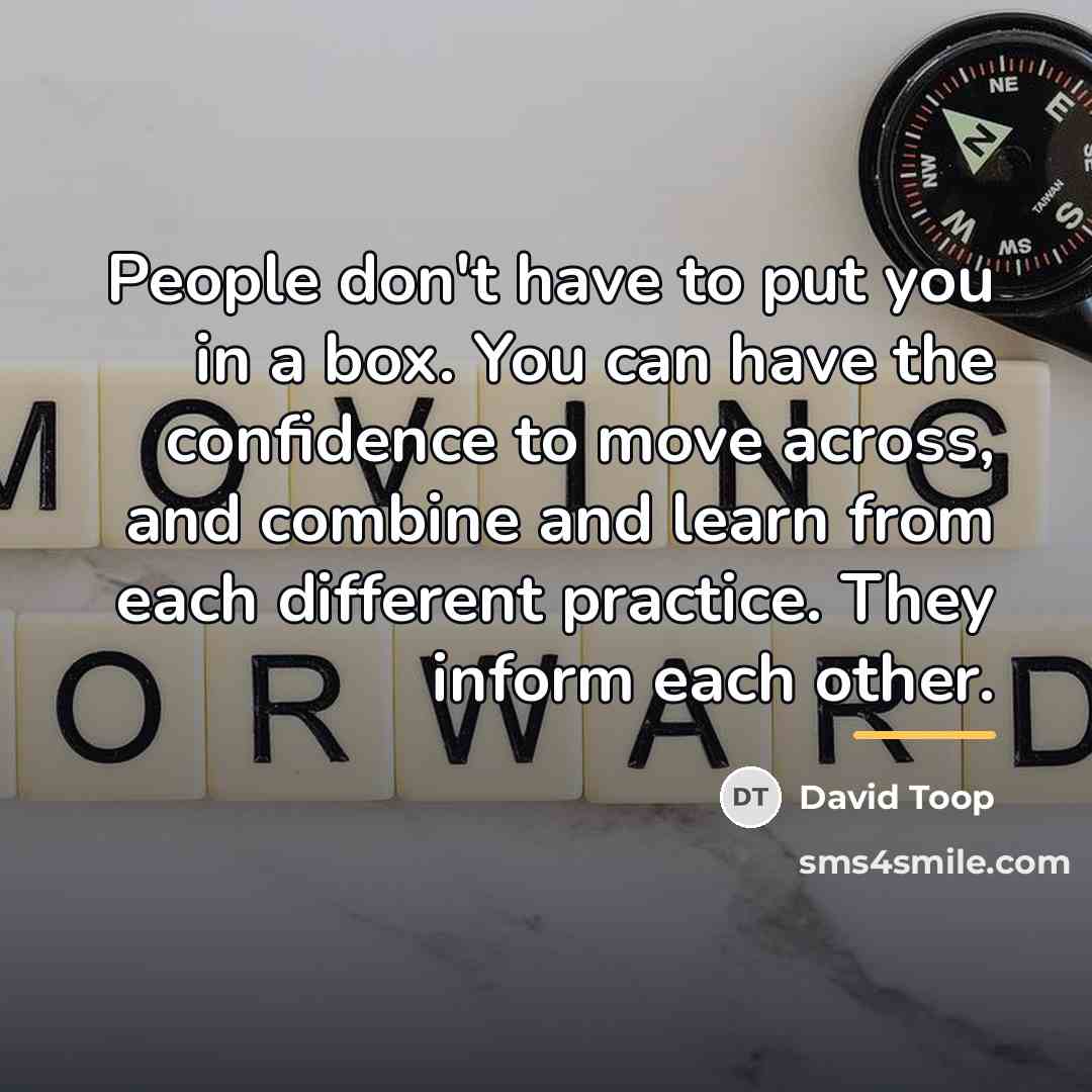 “People don't have to put you in a box. You…” quote by David Toop
