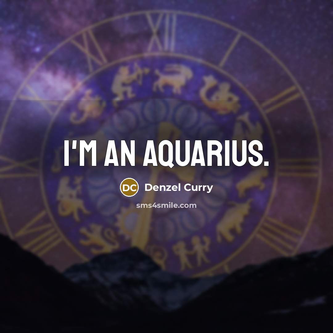 “I'm an Aquarius.” quote by Denzel Curry