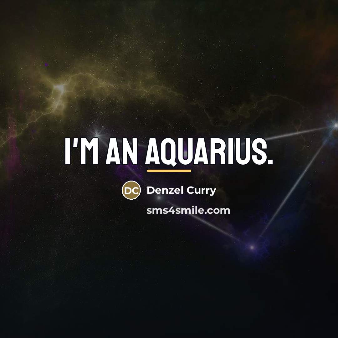 “I'm an Aquarius.…” quote by Denzel Curry