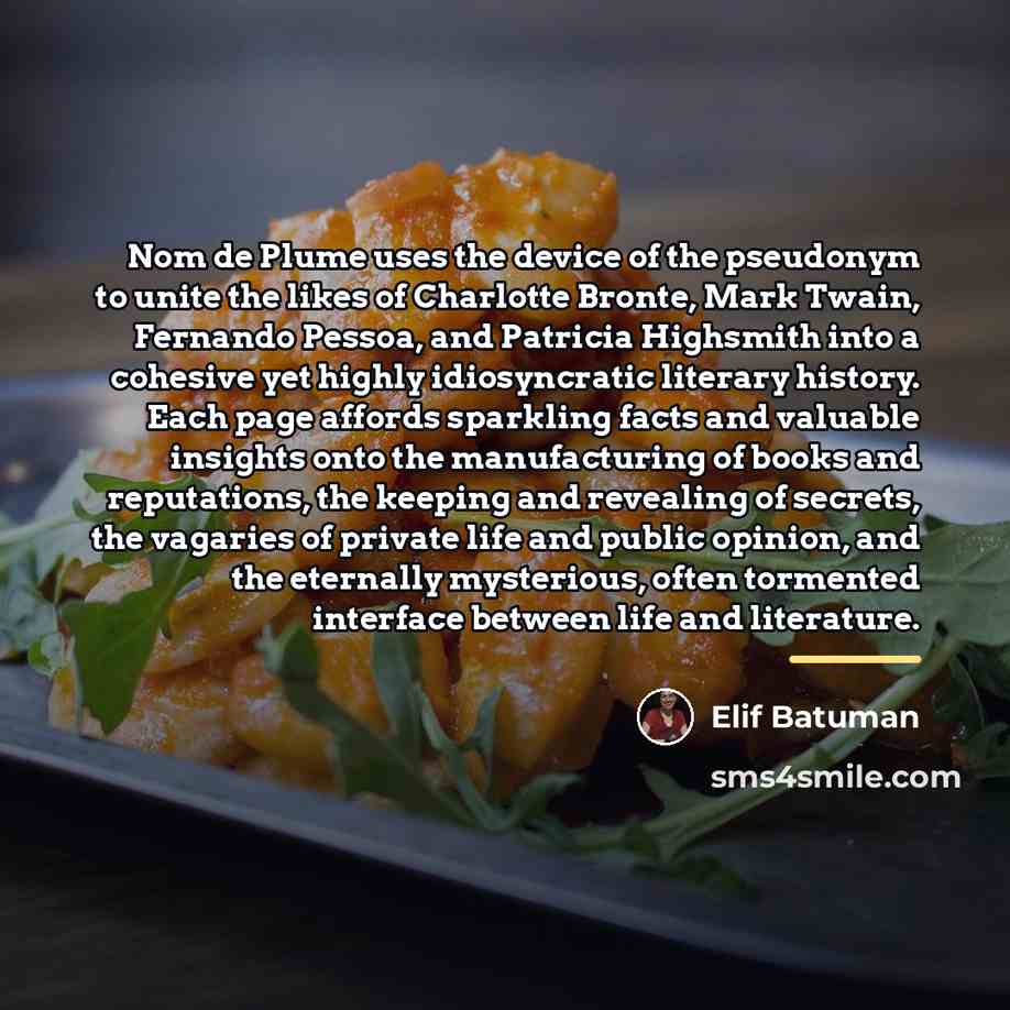 “Nom de Plume uses the device of the pseudonym to…” quote by Elif Batuman